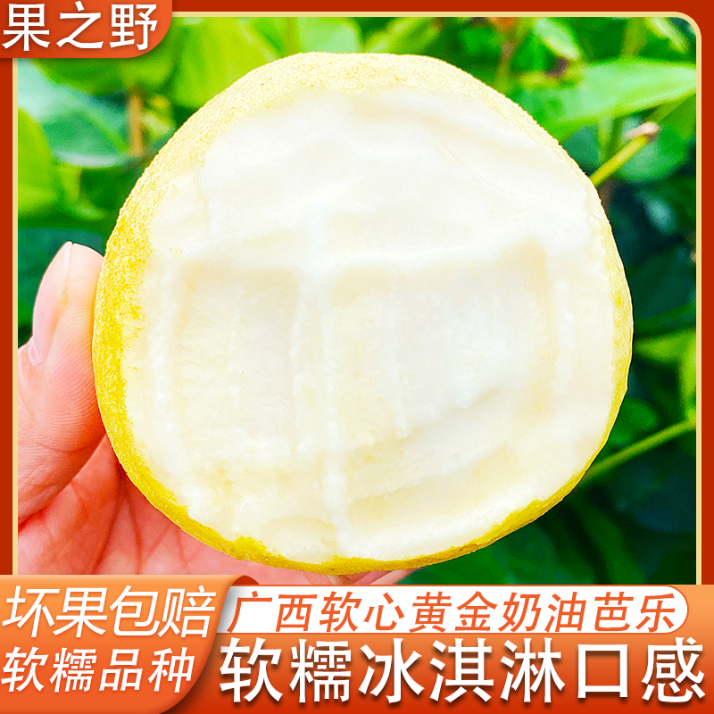 广西软糯奶油芭乐番石榴软心香甜孕妇鸡屎果小香果低糖新鲜水果