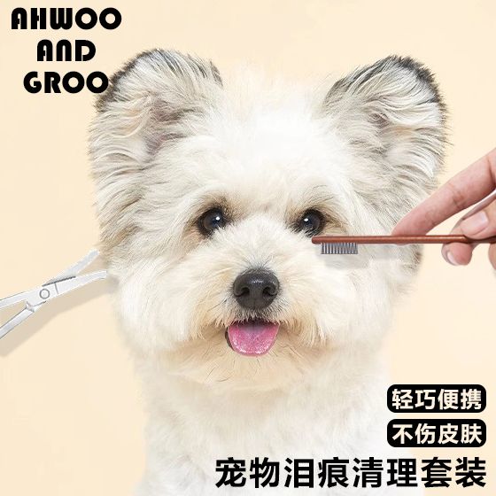 宠物美容套装迷你泪痕梳剪刀蓬松猫咪狗狗面木梳子狗狗面部梳子