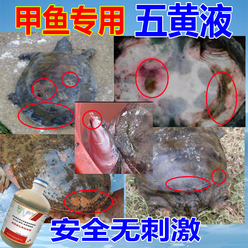 中药五黄液