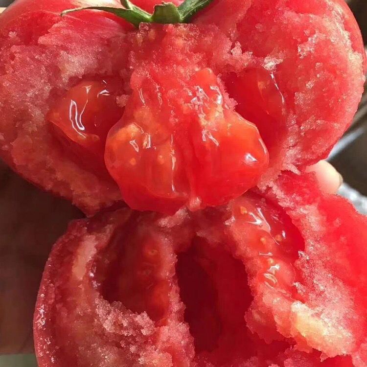 宁夏沙漠露天沙瓤西红柿番茄新鲜自然蔬菜现摘水果当季自然熟生吃 图片 3