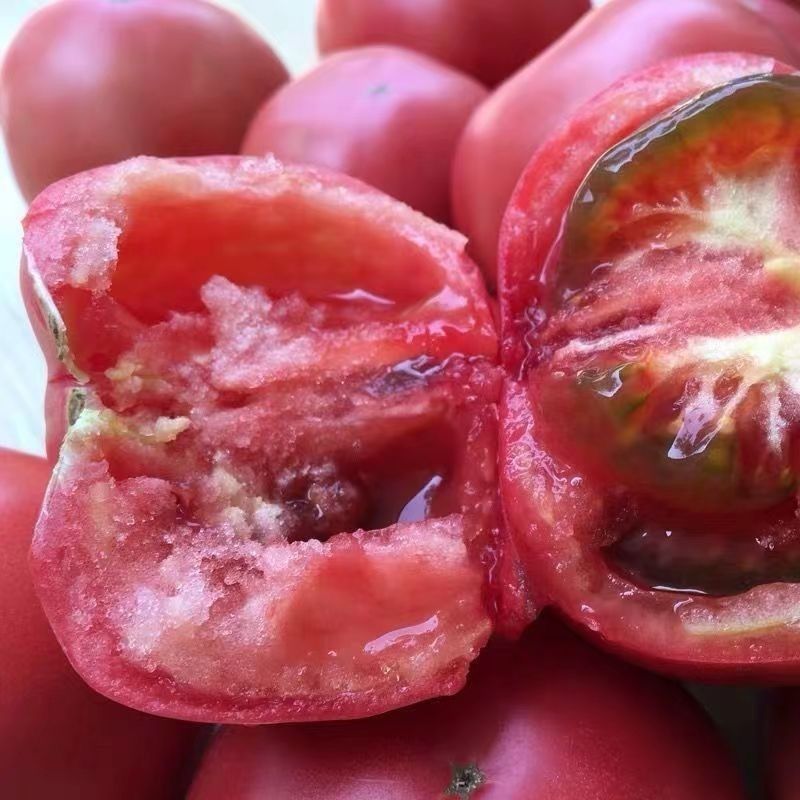 宁夏沙漠露天沙瓤西红柿番茄新鲜自然蔬菜现摘水果当季自然熟生吃 图片 6