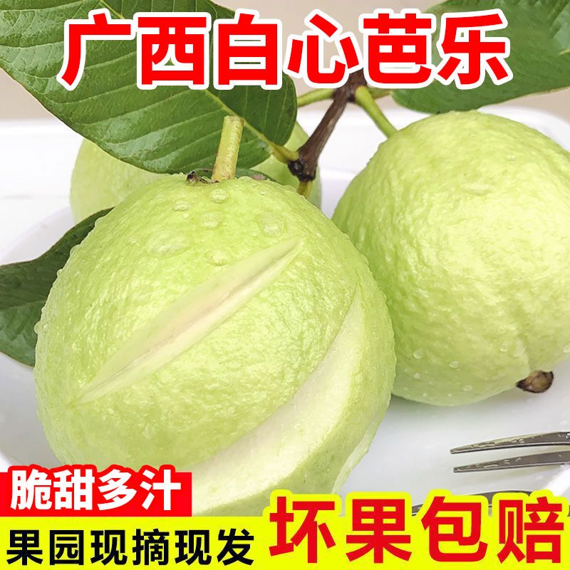 正宗广西奶油白心芭乐软心软糯新鲜孕妇水果番石榴硬脆甜整箱批发