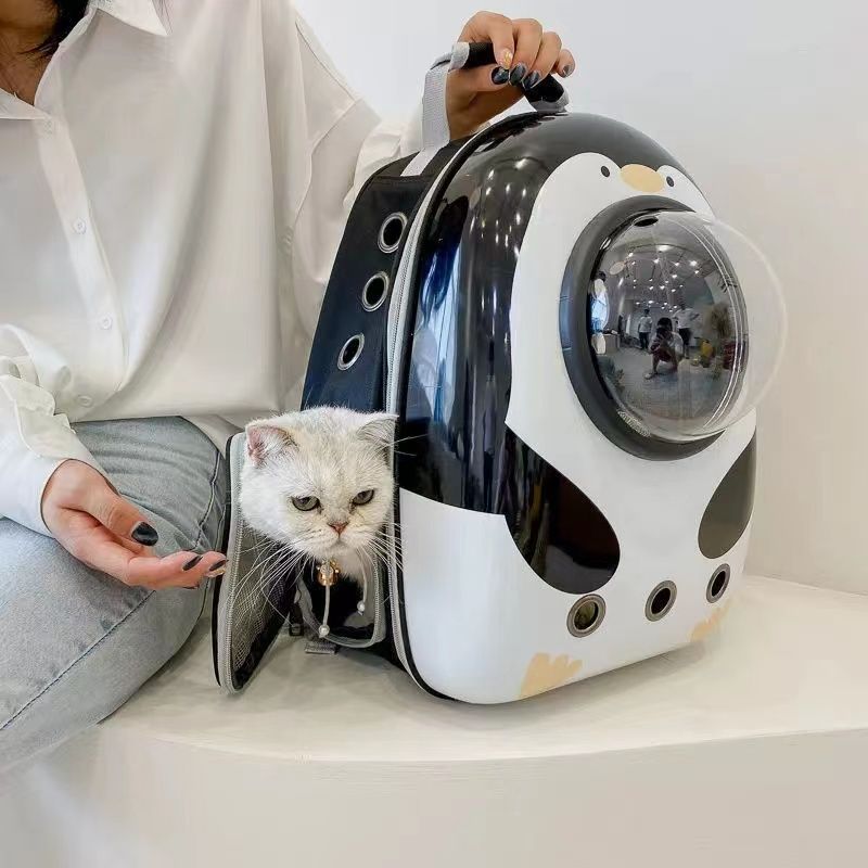 便携太空舱宠物背包外出猫咪用品全套一整套猫咪外出包宠物背包