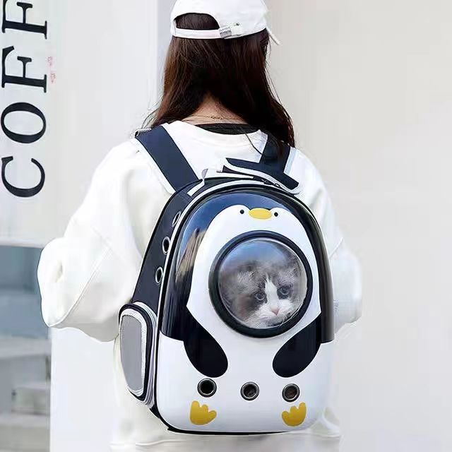 便装兔子太空舱宠物背包外出猫咪用品全套整套猫咪外出包宠物背包