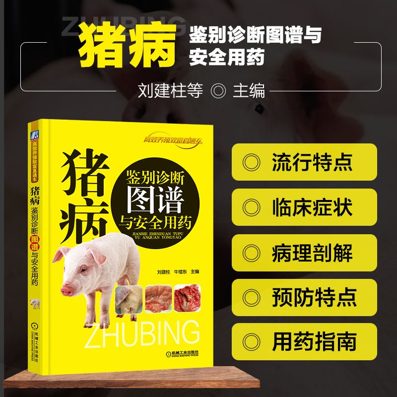 猪病鉴别诊断图谱与安全用药 养猪技术大全 猪病诊治图谱大全书籍