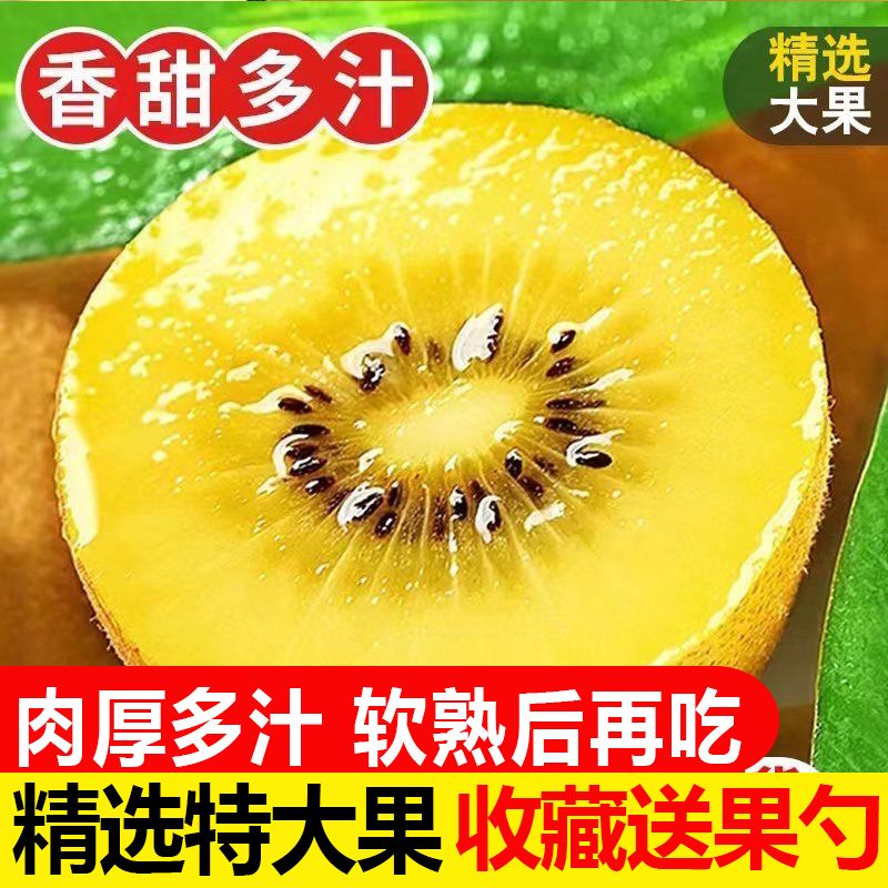 【彩箱】四川黄心猕猴桃蒲江奇异果新鲜水果应季整箱包邮非红绿心