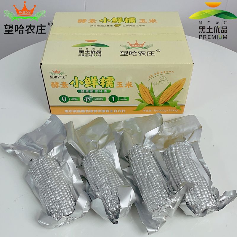 望哈农庄甜糯玉米2025新鲜采摘零0添加营养代餐东北黏黄玉米轻食