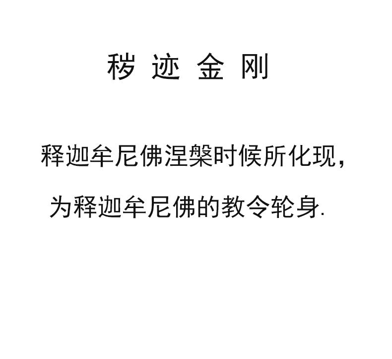 秽迹金刚唐卡挂画西藏手绘复刻壁画佛堂护法神佛像释迦牟尼装饰画 detail 2