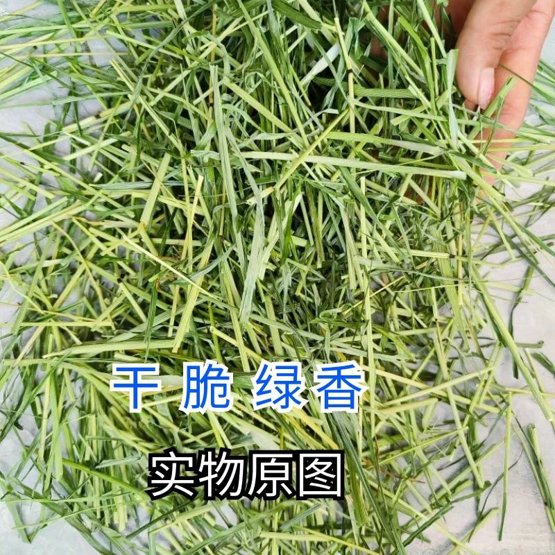 25年烘干提摩西草磨牙草杆成年兔子龙猫嫩绿适口性好