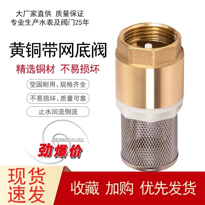 DN50带滤网止回底阀
