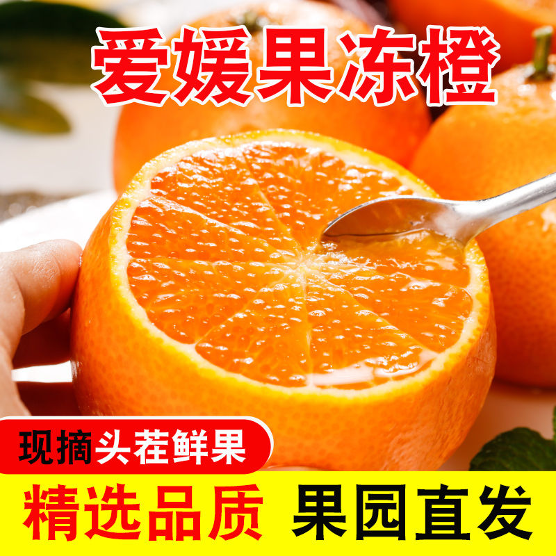 四川爱媛38号果冻橙现摘现发水果酸甜手剥橙桔子柑橘薄皮无籽橙子