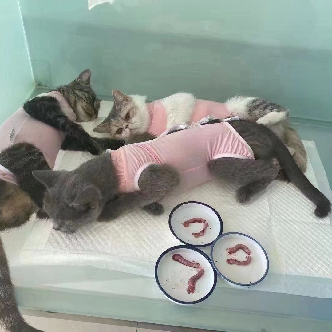 商品缩略图 4