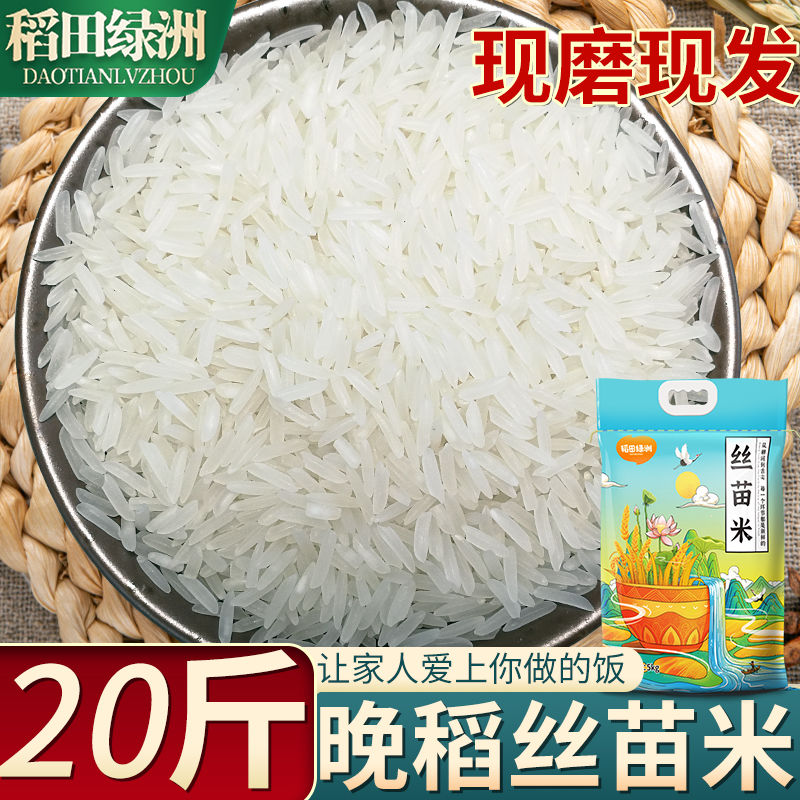 稻田绿洲2024年当季晚稻丝苗长粒香米新米茉莉香米大米猫牙油粘米