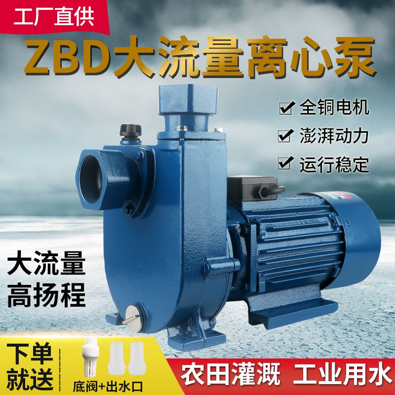 全铜ZBD闽东离心泵家用高扬程闵东自吸泵大流量农业灌溉循环顺丰 图片 6