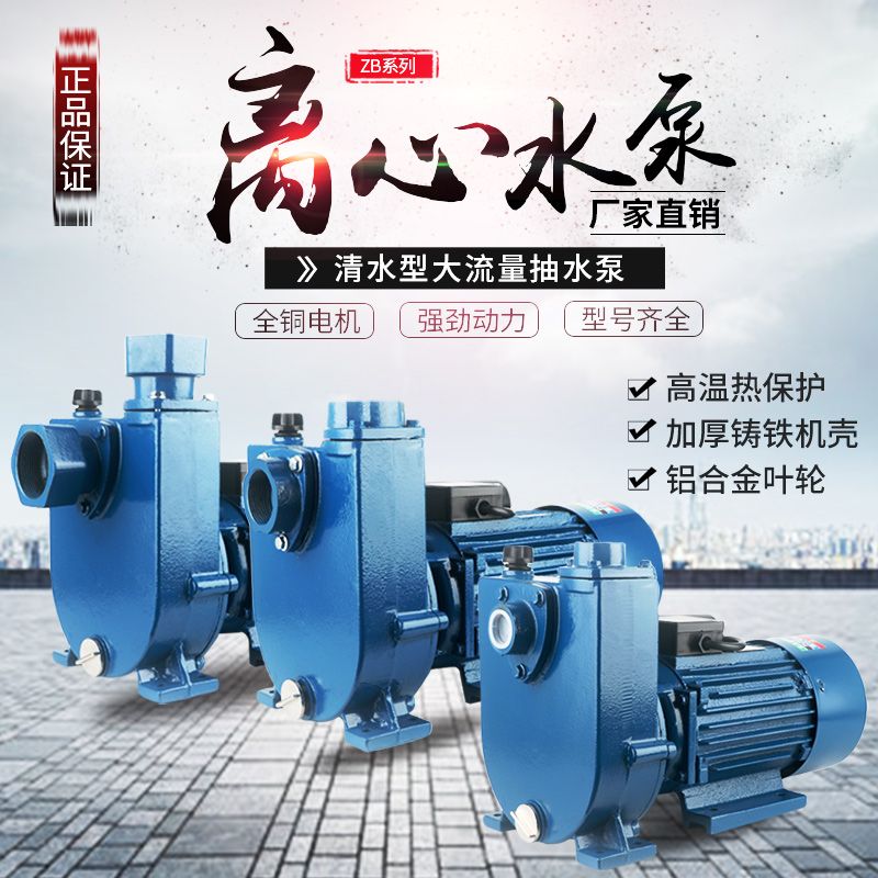 全铜ZBD闽东离心泵家用高扬程闵东自吸泵大流量农业灌溉循环顺丰 图片 4