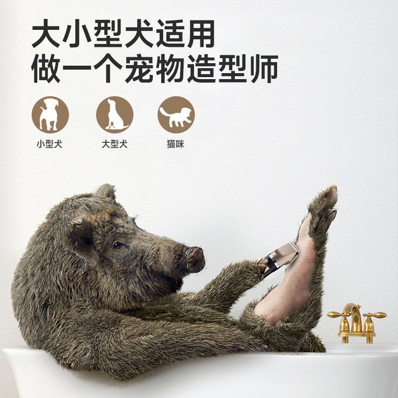 商品缩略图 5