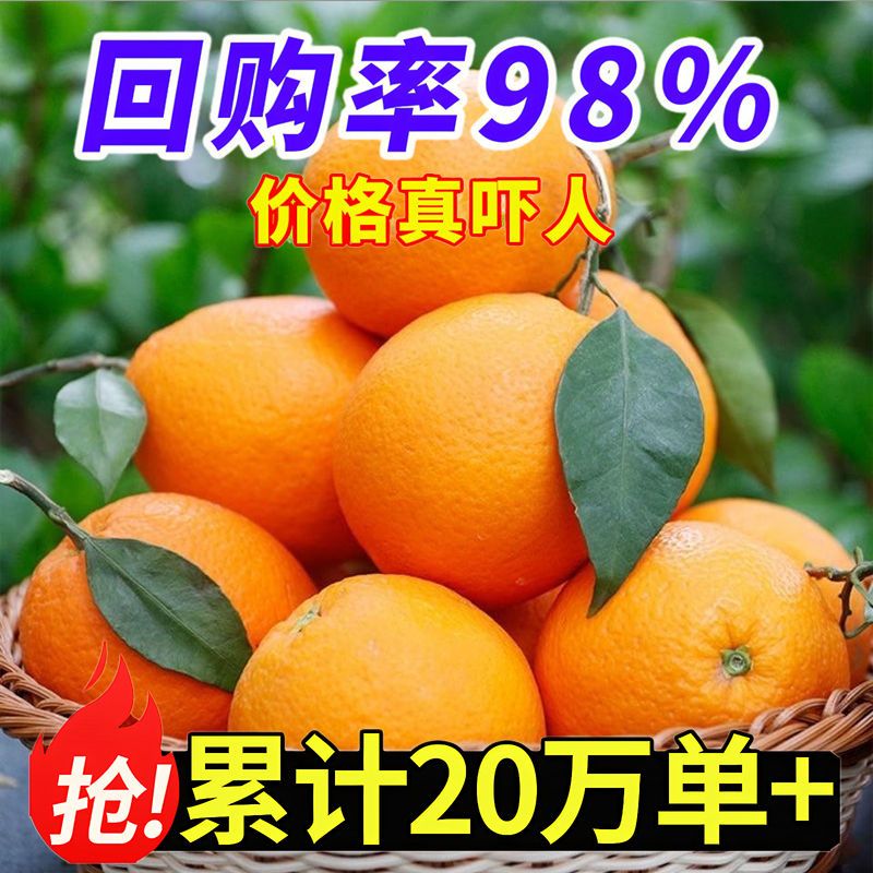 【热卖中】正宗赣南脐橙整箱批发薄皮橙子水果新鲜水果10斤【4天内发货】