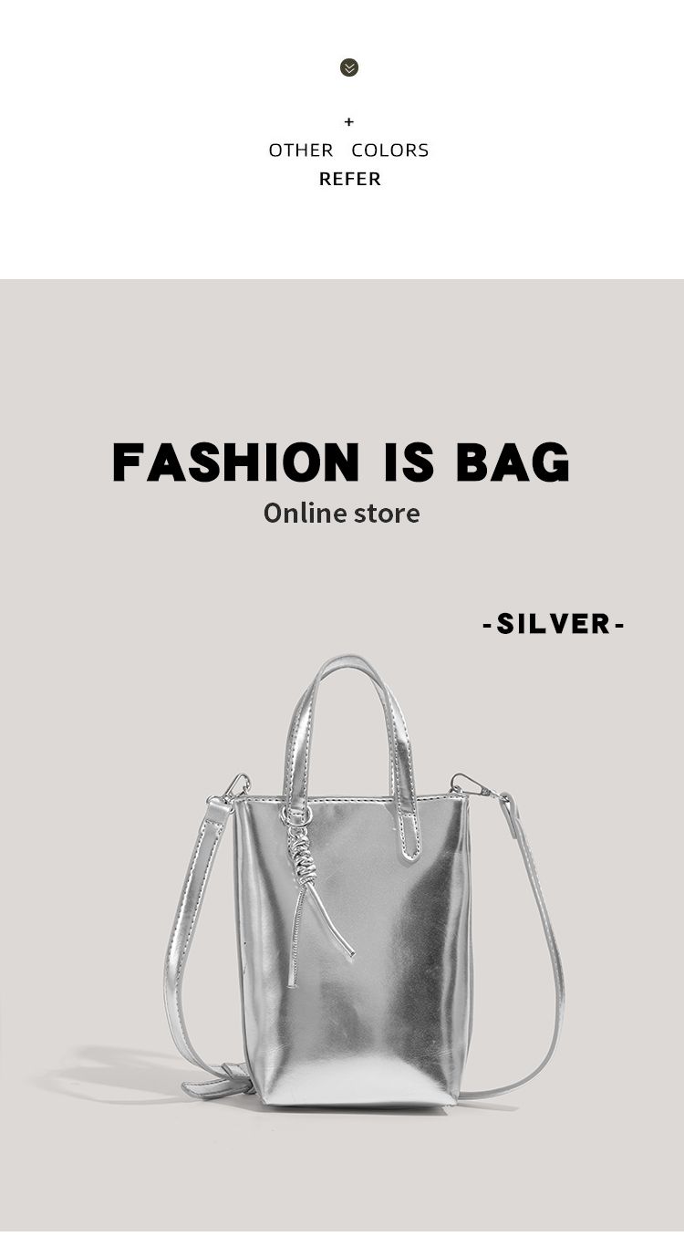 CHARHP&KEJNT niche high-end western-style handbag silver 2024 new single shoulder crossbody fashionable mobile phone bag_voghion.com