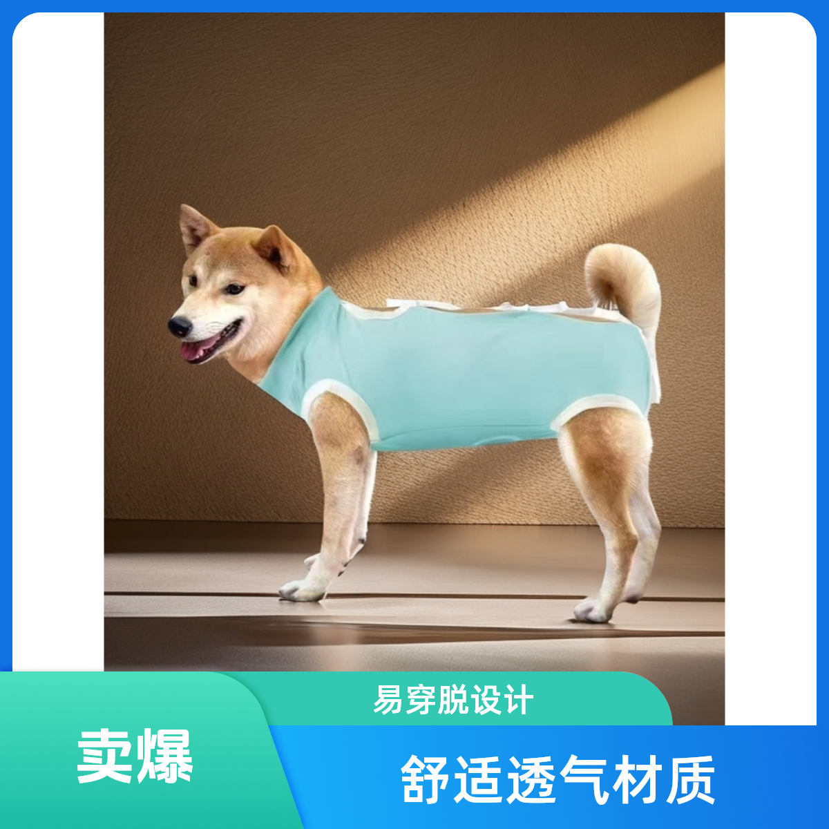 狗狗绝育服新款宠物衣服母狗绝育手术衣绝育服狗狗手术衣薄款透气