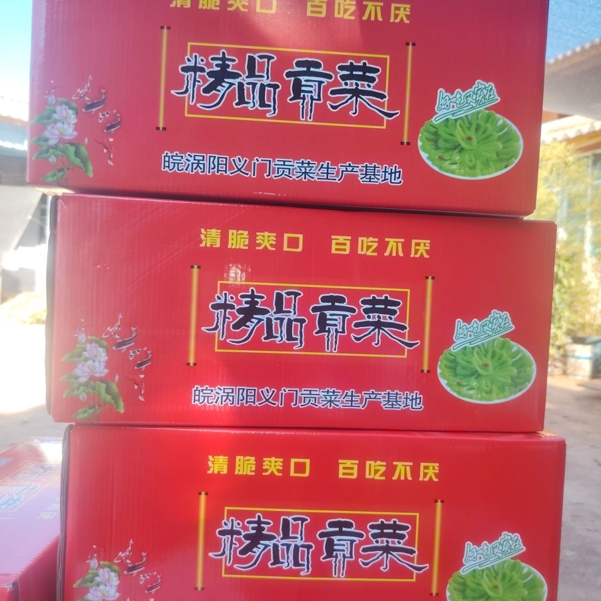 绿贡菜可螺蛳粉冒菜火锅中餐串串麻辣烫卤菜一级正宗贡菜一整箱