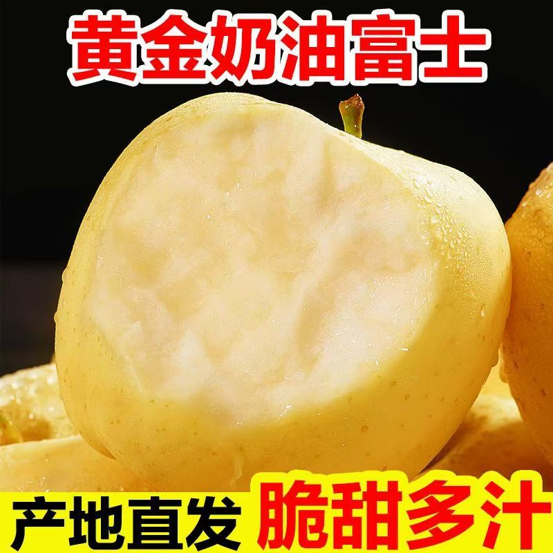 山东烟台黄金奶油富士苹果酸甜新鲜水果原产地酸甜苹果产地直发