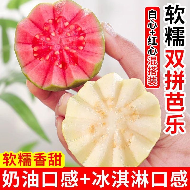 广西双拼红白心奶油冰淇淋芭乐软心软糯新鲜番石榴脆甜鸡屎果批发