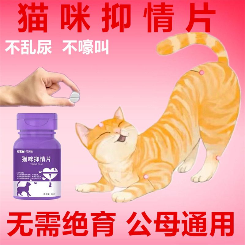 【猫咪抑情】禁情片公母猫通用款不嚎叫不乱尿补充营养养猫必备品