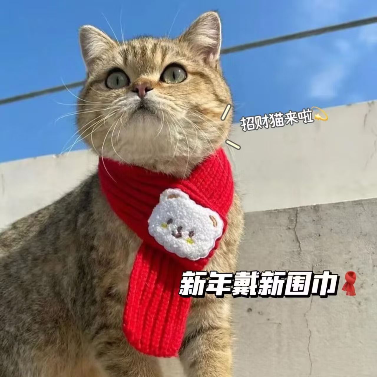 喜庆围巾