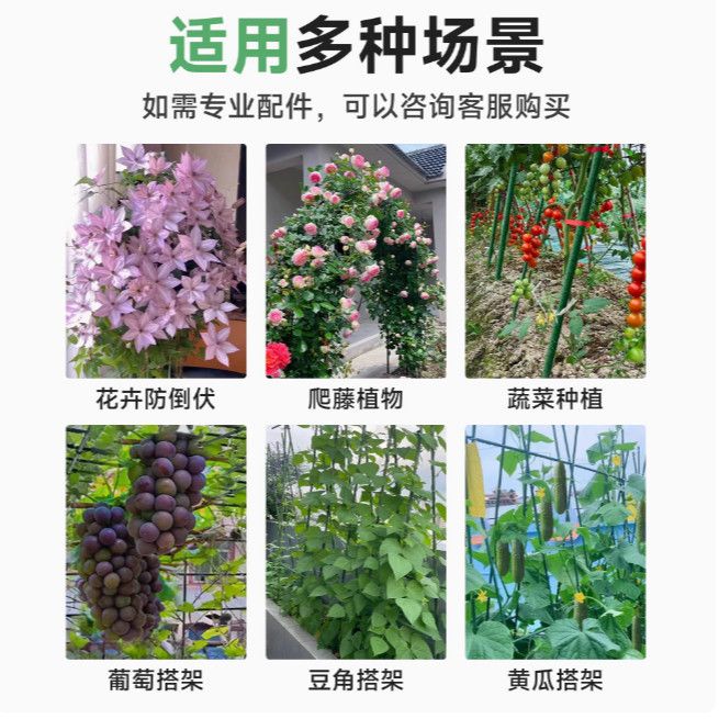 包塑钢管家用支架庭院豆角黄瓜架爬藤架植物支撑杆户外葡萄架花架 图片 9