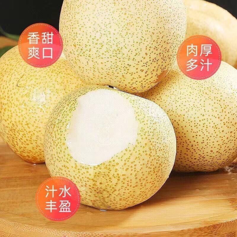 【山西贡梨】酥梨薄皮肉多汁甜水果可口冰糖雪梨酥梨纯甜非砀山梨 图片 5