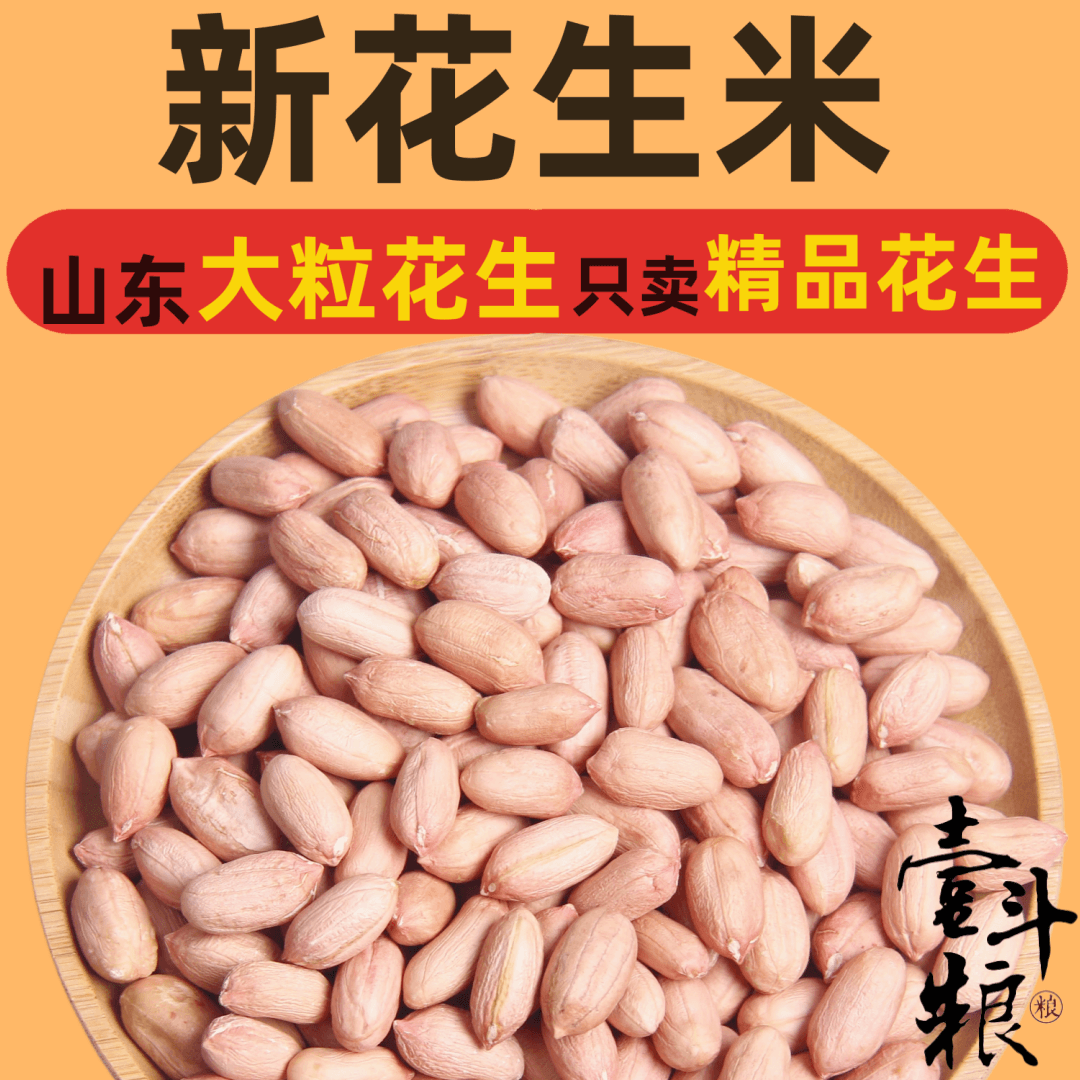 5斤25年山东特大颗粒花生米农家自种新货无壳花生新鲜大颗粒花生