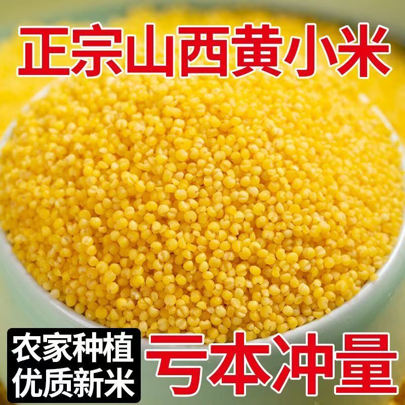 A-C9-东北低脂低油微白黄小米-1斤-1袋