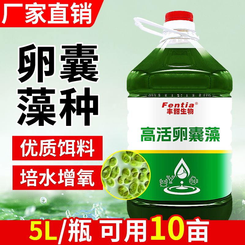 卵囊藻藻种