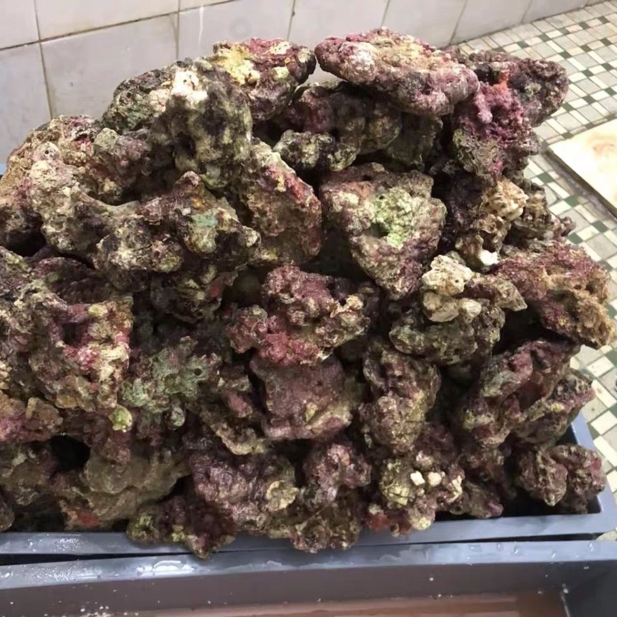 海缸专业活石高钙深海片状活石新鲜海水过滤鱼缸珊瑚缸多孔微