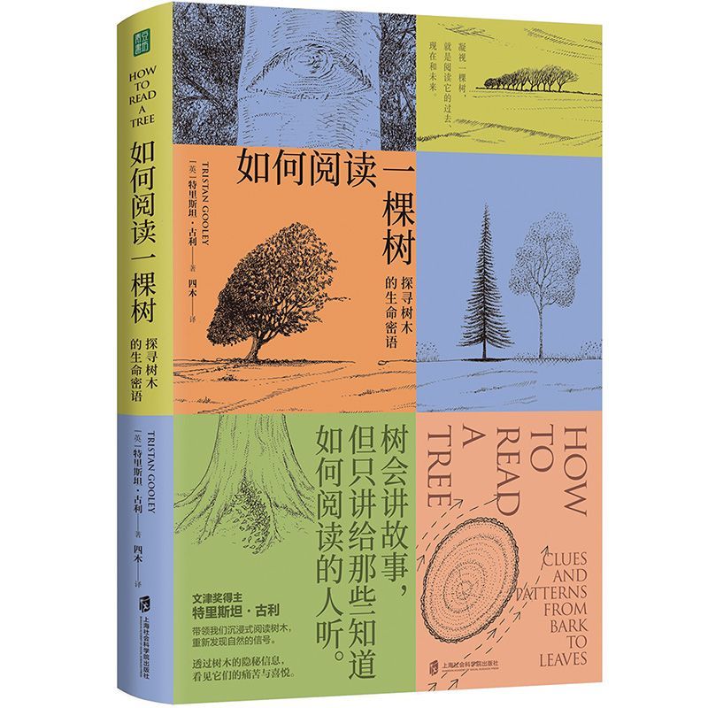 如何阅读一棵树:探寻树木的生命密语