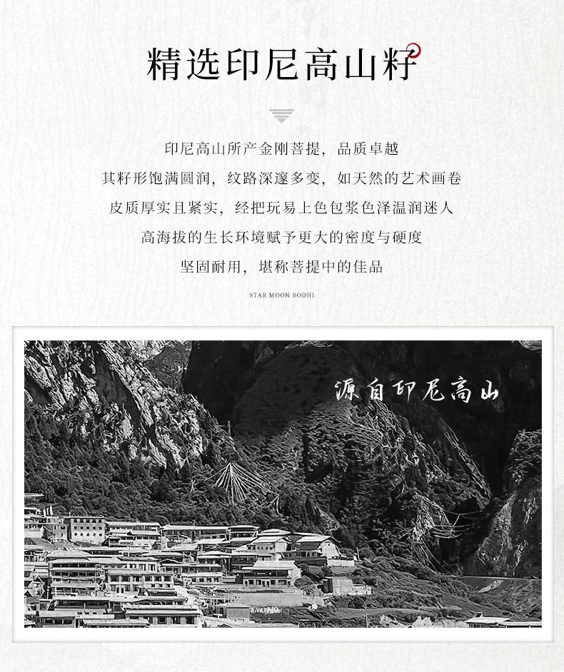 印尼双龙纹爆肉108颗小金刚手串男士菩提子多圈手持盘玩文玩佛珠 4