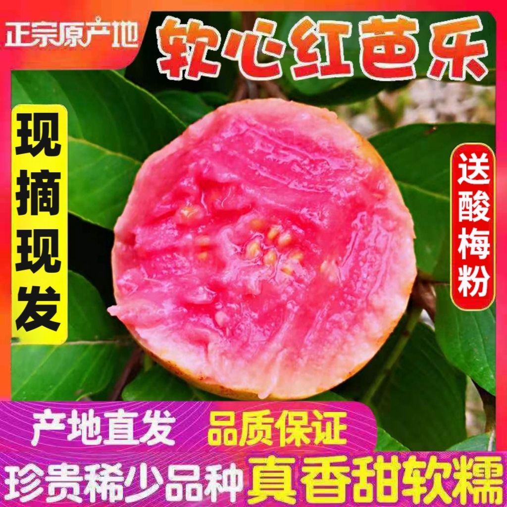 福建软糯香甜红心芭乐果水果当季新鲜应季糯巴乐整箱甜脆果园直发