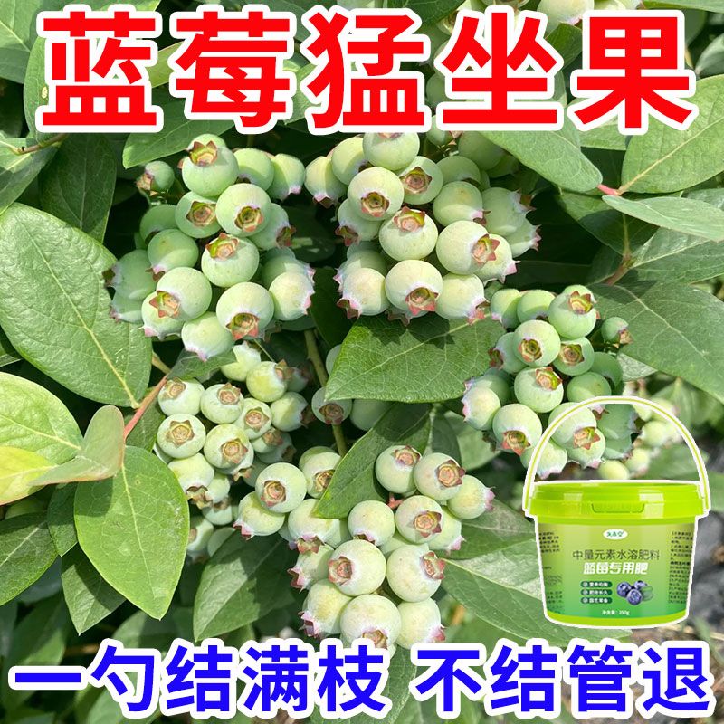 蓝莓专用肥肥料花肥有机肥催花生根缓释颗粒肥花卉植物家用肥料 图片 2