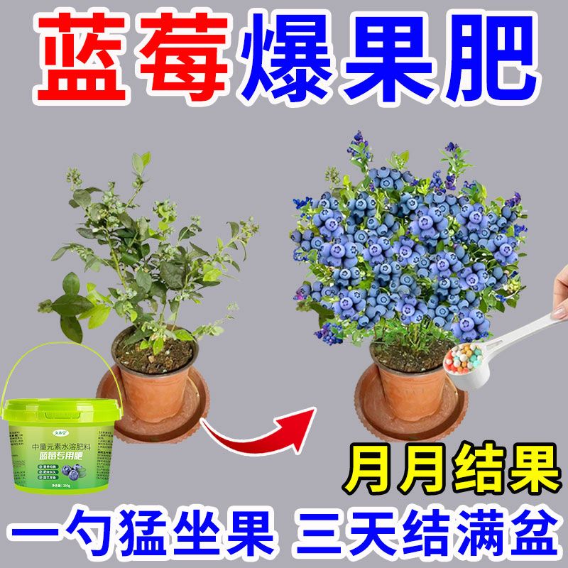 蓝莓专用肥肥料花肥有机肥催花生根缓释颗粒肥花卉植物家用肥料