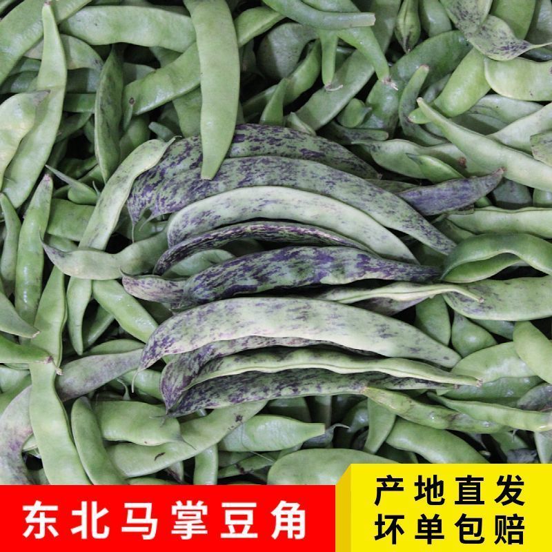 东北油豆角3斤 15.9元 - 美泡泡