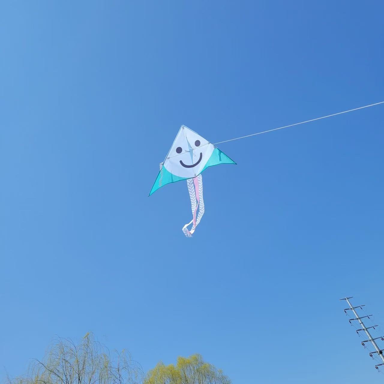INS Korean Smiley Face Children's Cartoon Foldable Triangle Kite Portable Parent-Child Outdoor Picnic Camping Game_voghion.com
