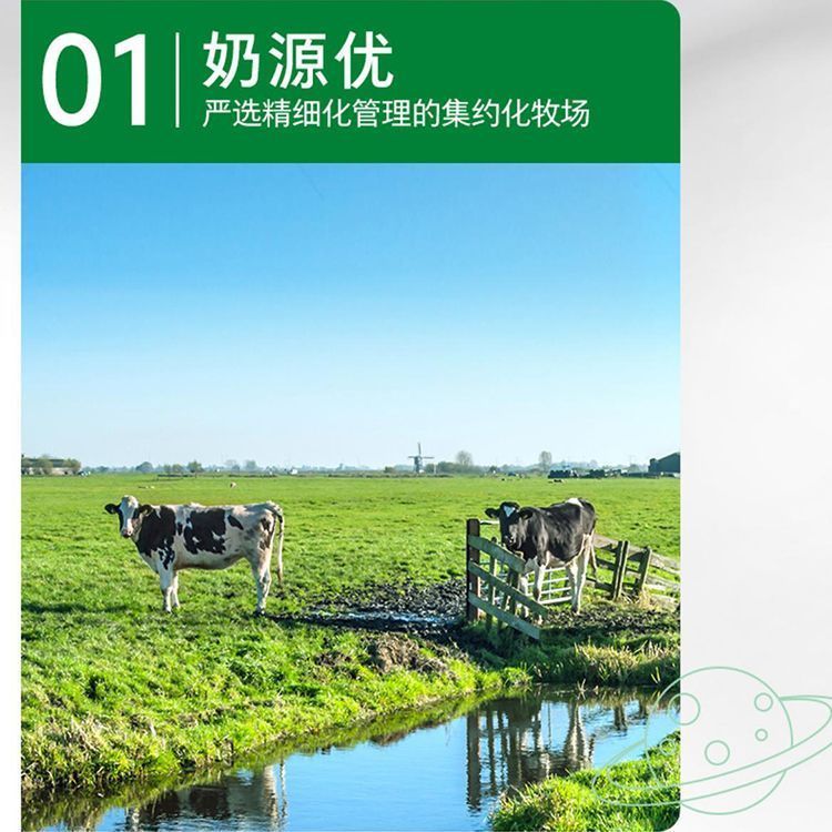 10月 官方正品蒙牛纯牛奶250ml*20盒 早餐营养纯牛奶整箱囤货