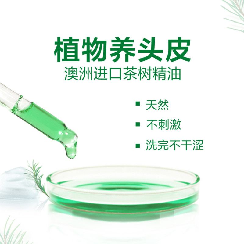 欧莱雅洗发水茶树精油润养透明质酸倍爽洗头膏控油无硅油男女学生