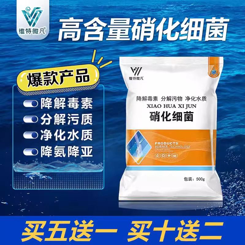 硝化细菌水产养殖专用降氨氮亚硝酸盐净化水质调节鱼池净水剂