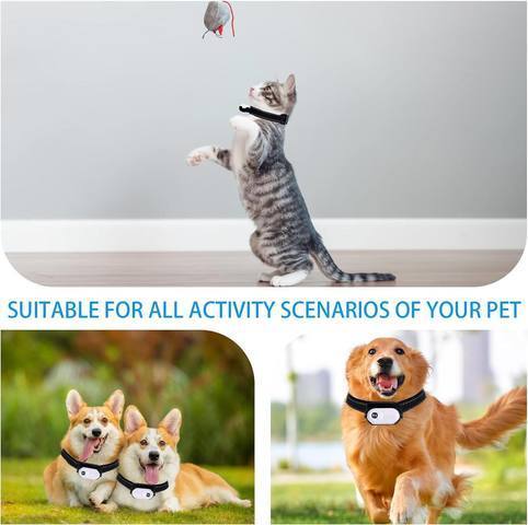 Upgraded Adjustable Angle Vlog Pet Perspective Thumb Camera_voghion.com