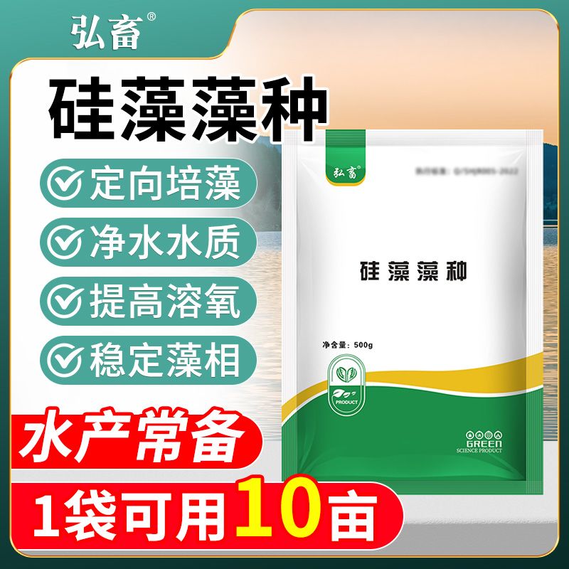 硅藻藻种粉