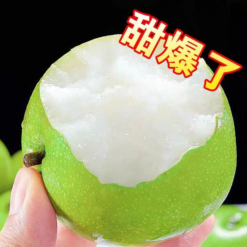 【脆甜】砀山青皮梨皇冠梨薄皮梨子当季新鲜水果苹果梨批发一整箱