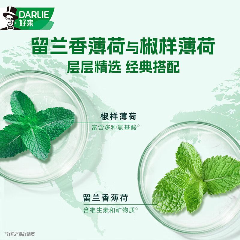 【2支】 DARLIE好来黑人牙膏双重薄荷225g+清新双效200含氟家庭装