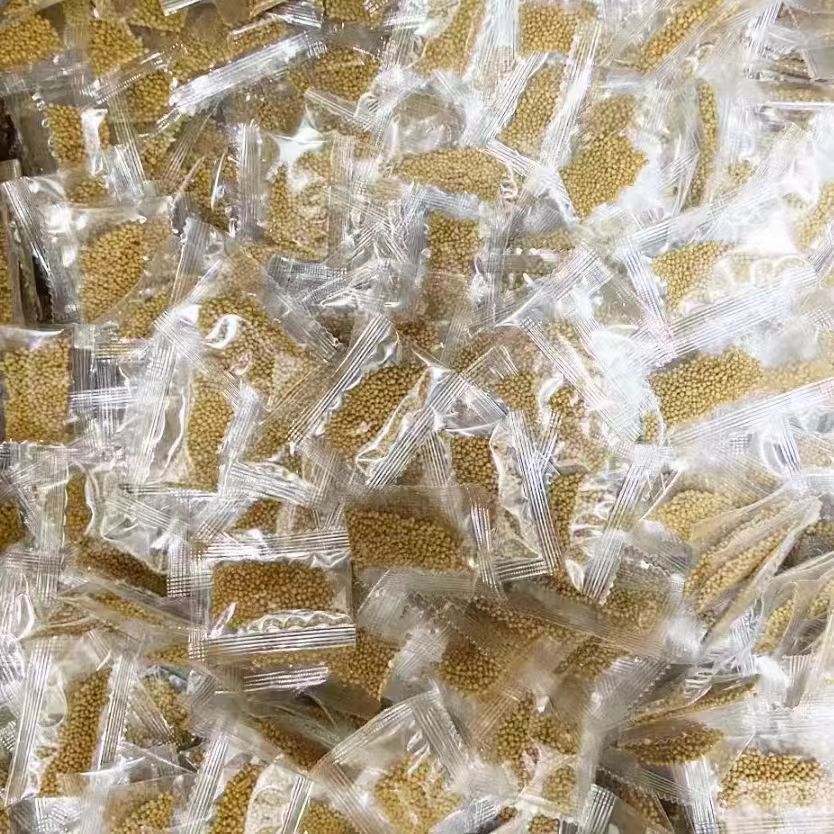 将军蟹观赏蟹宠物蟹活体蟹迷你辣椒蟹将螃蟹鲜活活的小宠物蟹 图片 4