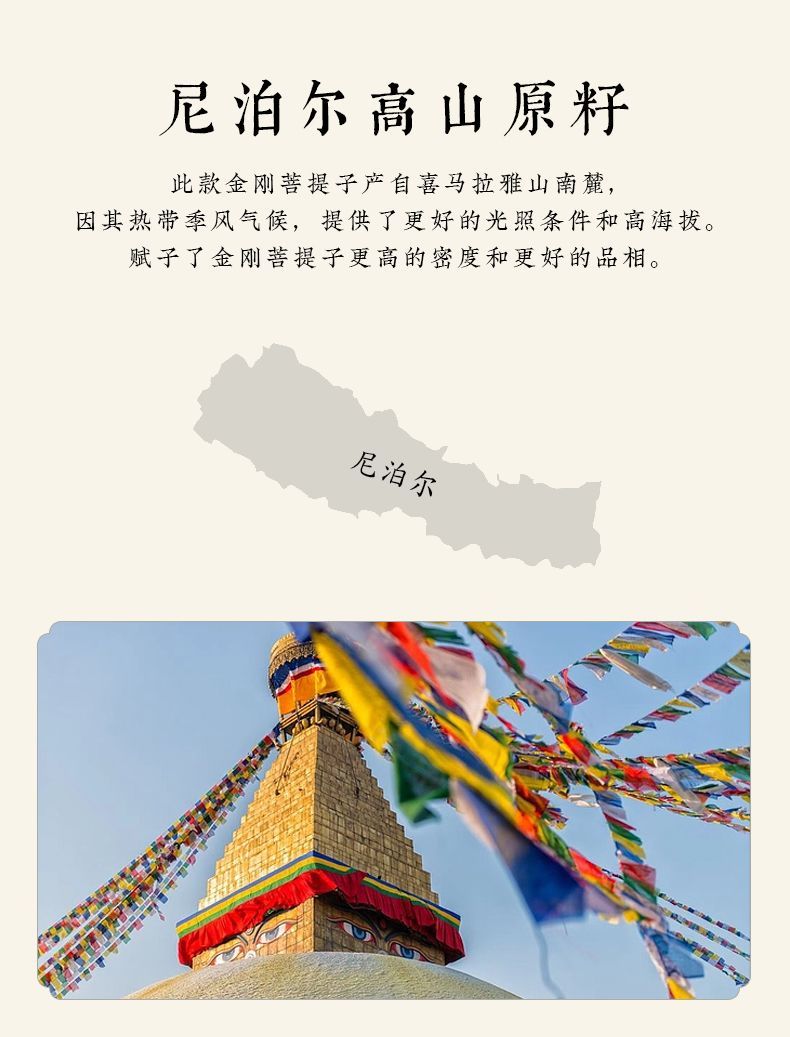 尼泊尔大金刚菩提子手串精品手把文盘玩核桃普提转运佛珠手链男士 4